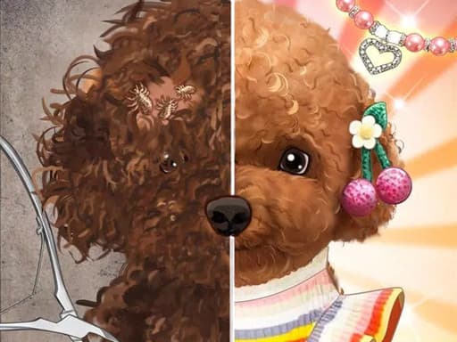 Pet Makeup Master artwork