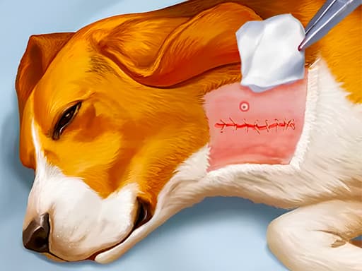 Dog Hospital artwork