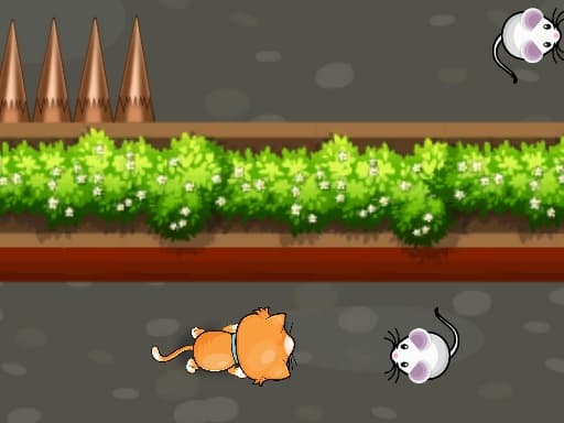 Cat Trap Labyrinth Escape artwork