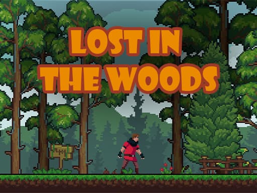 Lost in the Woods artwork