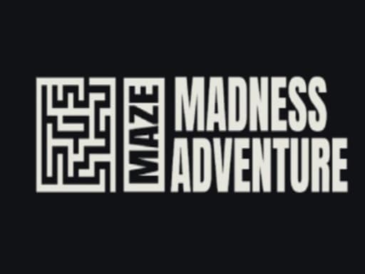 Maze Madness Adventure artwork
