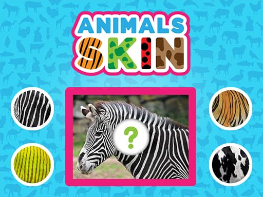 Animals Skin artwork