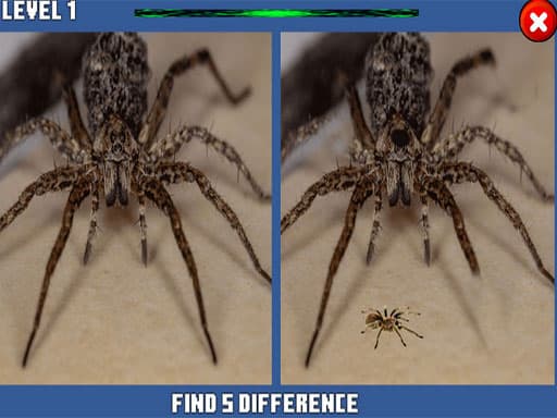 Spider Hidden Difference artwork
