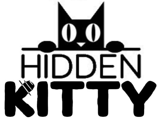 Hidden Kitty artwork