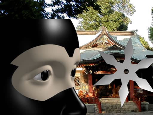 Ninja Academy artwork
